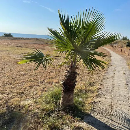 ベッド・アンド・ブレックファスト Therese 13 4*